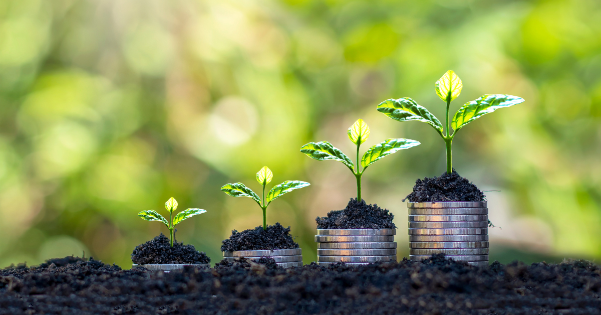 Plants growing on increasing stacks of coins